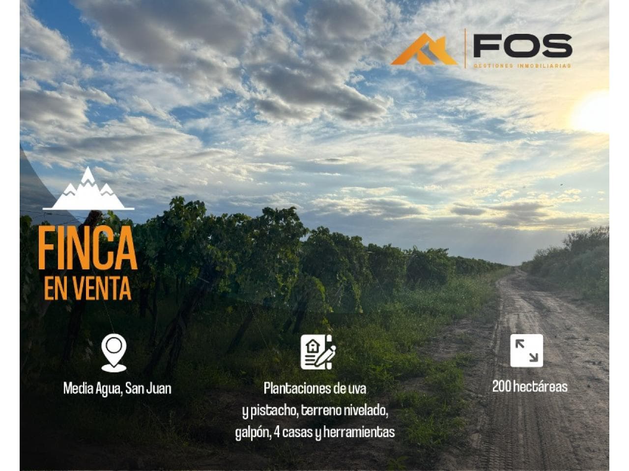 Venta. Finca Media Agua. Sarmiento ⚫