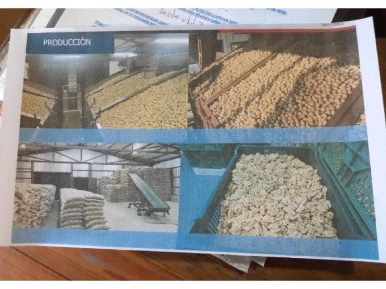 Venta. Finca En Calingasta Con Producción De Nueces
