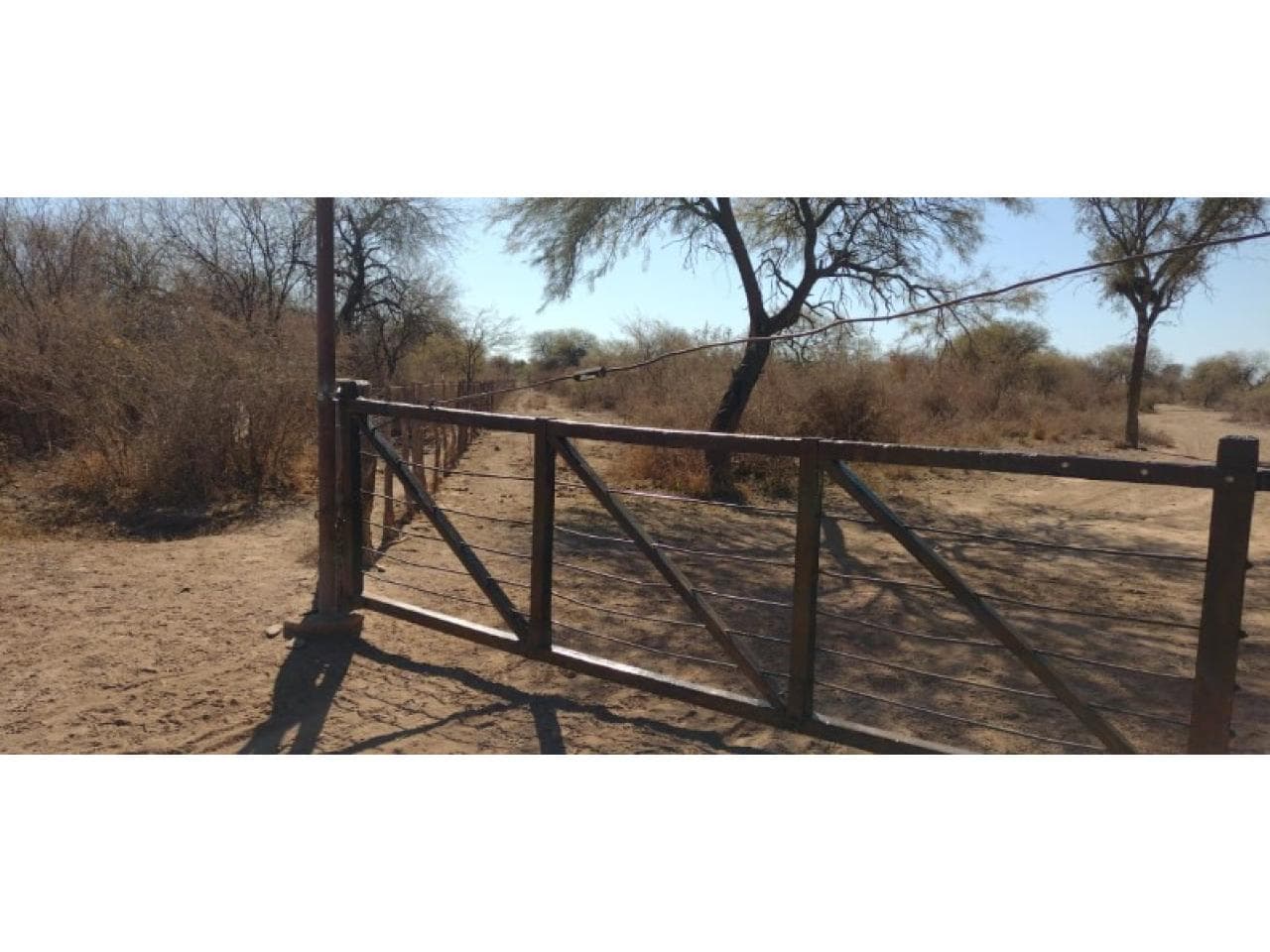 Finca A La Venta 145 Hectáreas/ Olta La Rioja