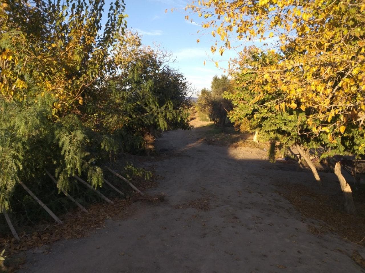 Venta. Finca 6 Has. Caucete