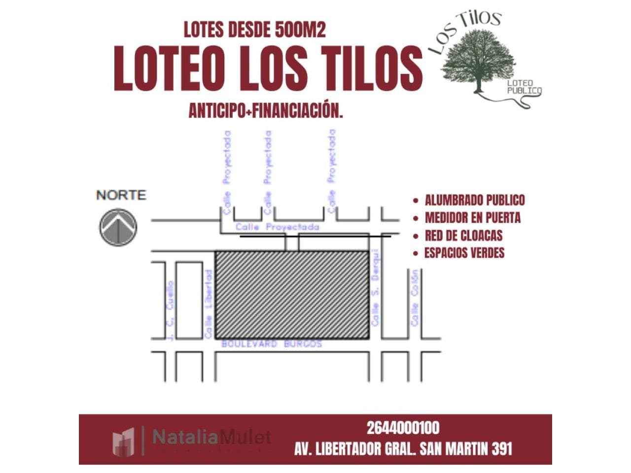 Oportunidad. Loteo Los Tilos