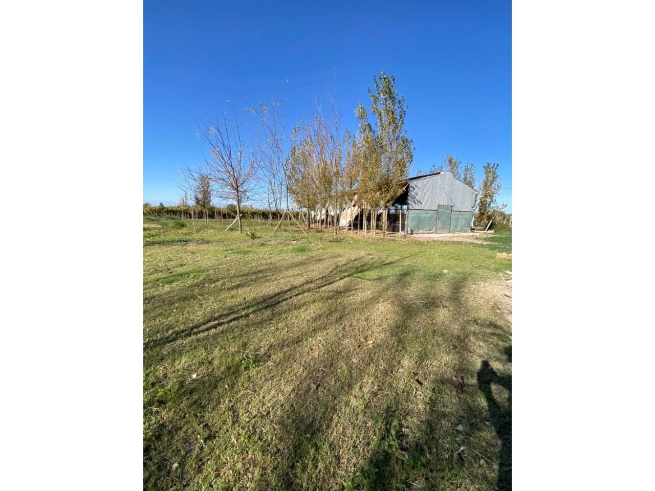 Hermosa Finca En Venta En Santa Lucia, Con Produccion, Gallinero Y Casa