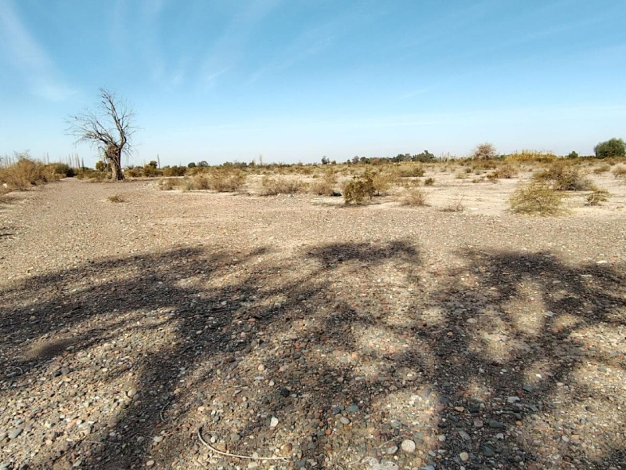 Venta Finca 11 Hectáreas - Pocito ( Pellegrini Y Calle 5 )