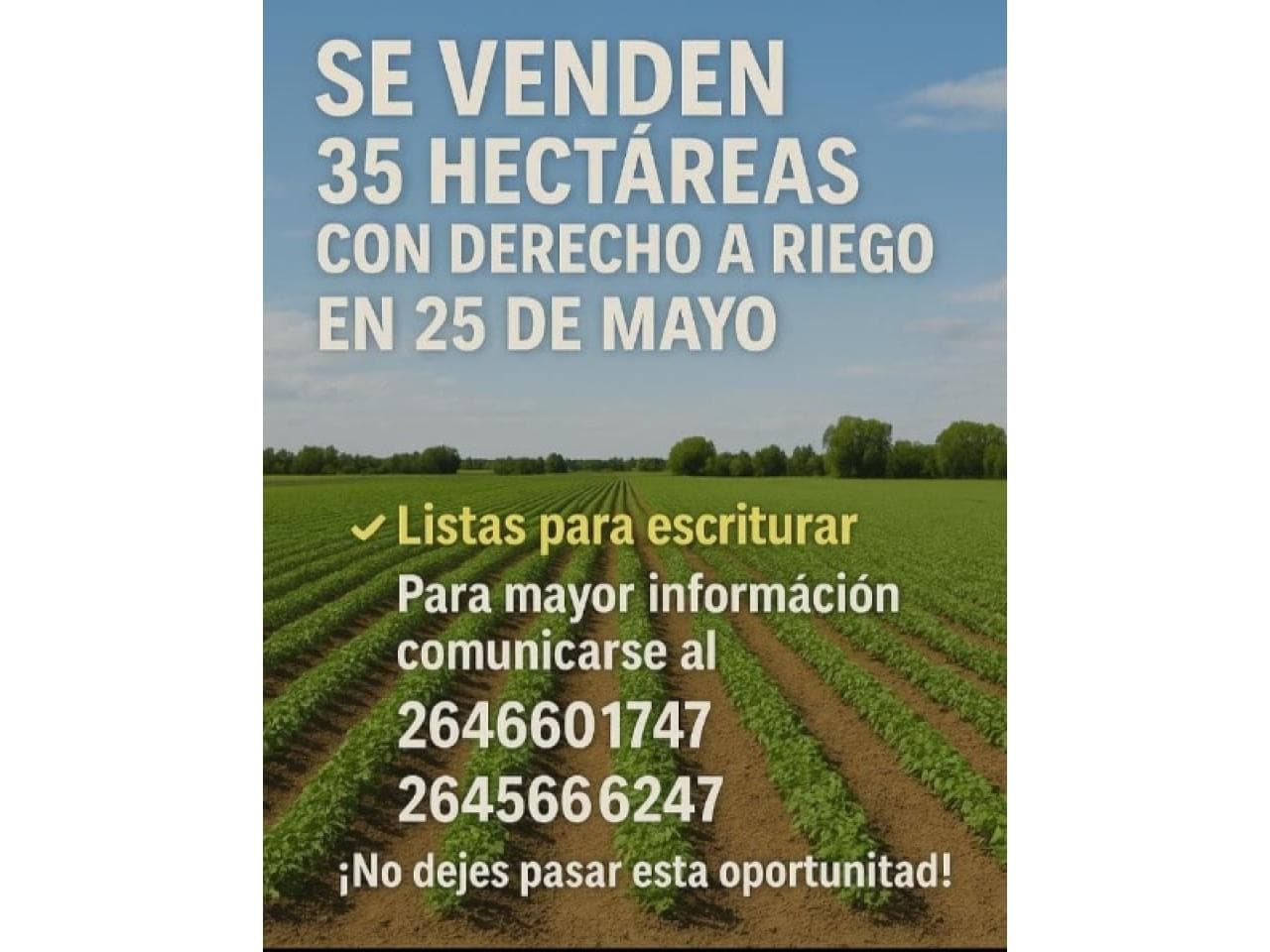 Venta 35 Hectareas