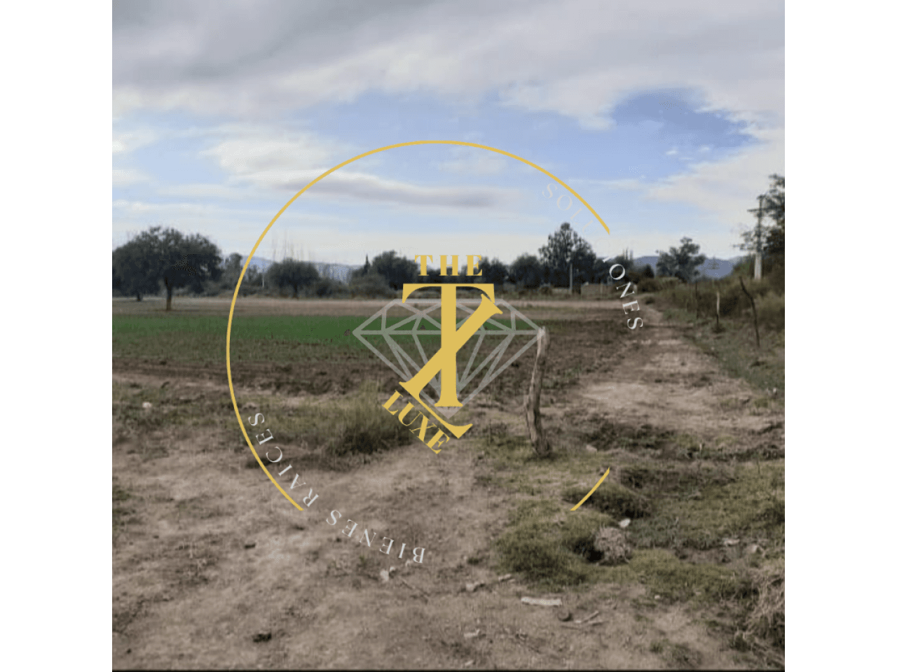 Finca En Venta 10 Ha Pampa Del Chañar -  Jachal