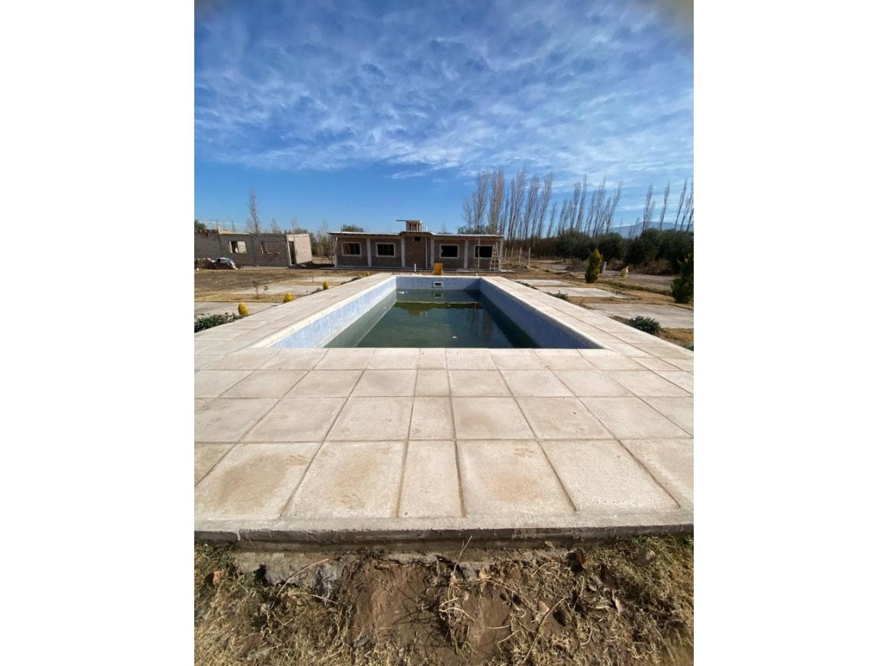 Venta Quinta De 2 Hectareas En Albardón Con Olivos