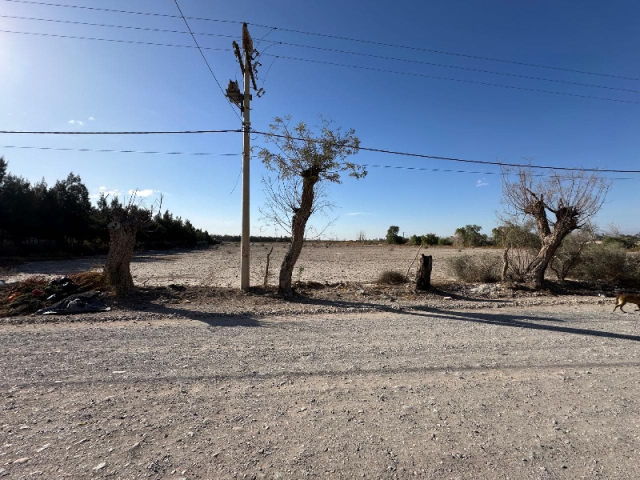 Oportunidad Contado Finca De 3 Has En Calle Chacabuco Y Calle 8 Apta Toda Actividad Comercial
