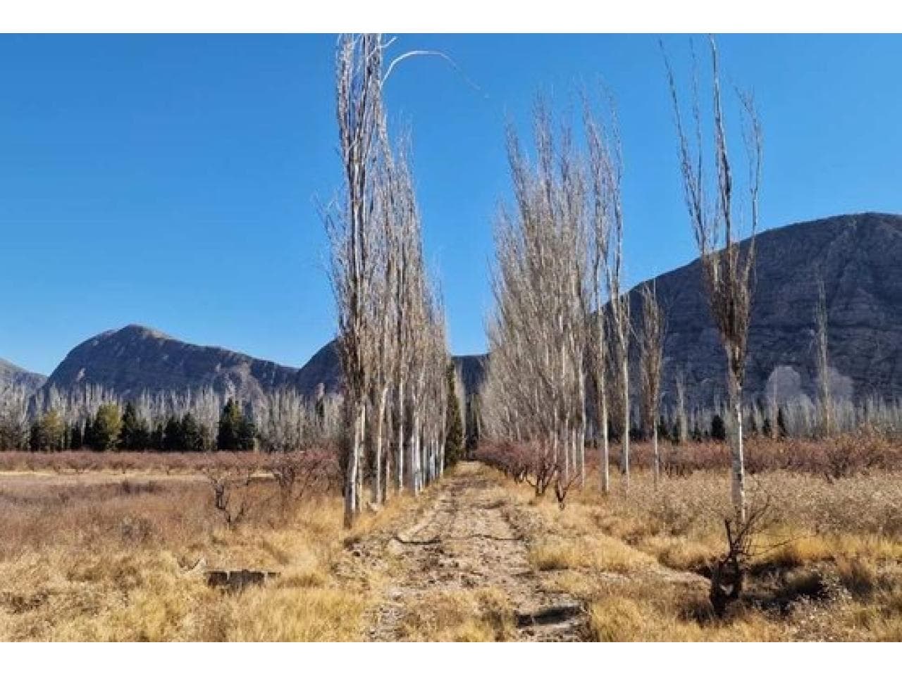 Venta Finca 10,8 Has En San Roque, Jachal. Mls#420981044-487