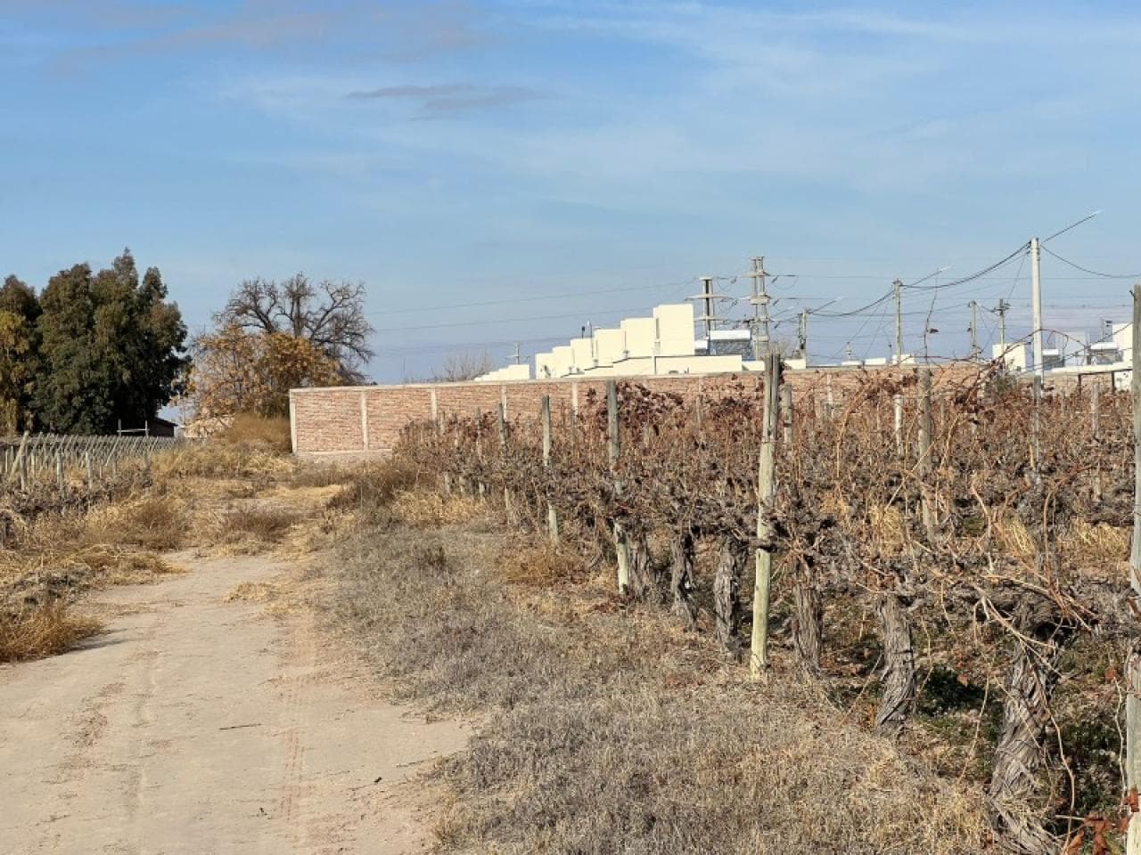 🔵 Venta Oportunidad - Terreno De 54 Ha - Calle 5 Y Abraham Tapia - Ref 3136🔵