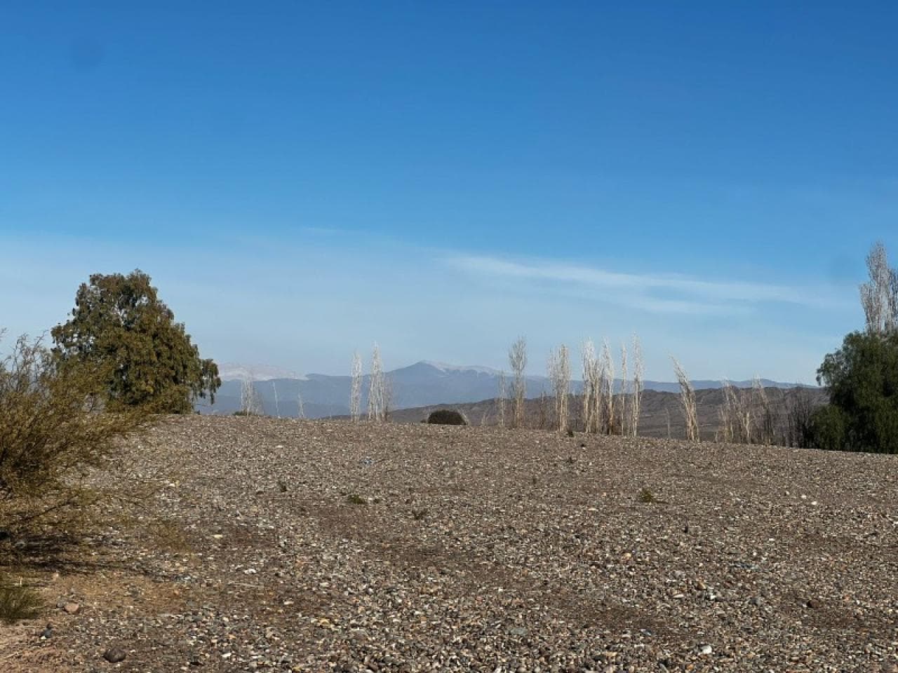 🔵 Venta. Importante Terreno En Albardón De 5 Hectáreas - Ideal Emprendimiento - Ref 3329🔵