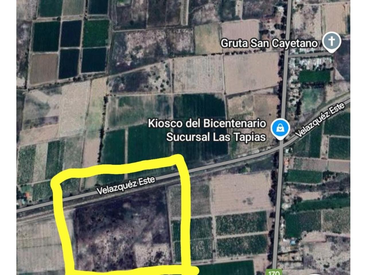 Venta. Finca 6,9 Hectáreas En Angaco