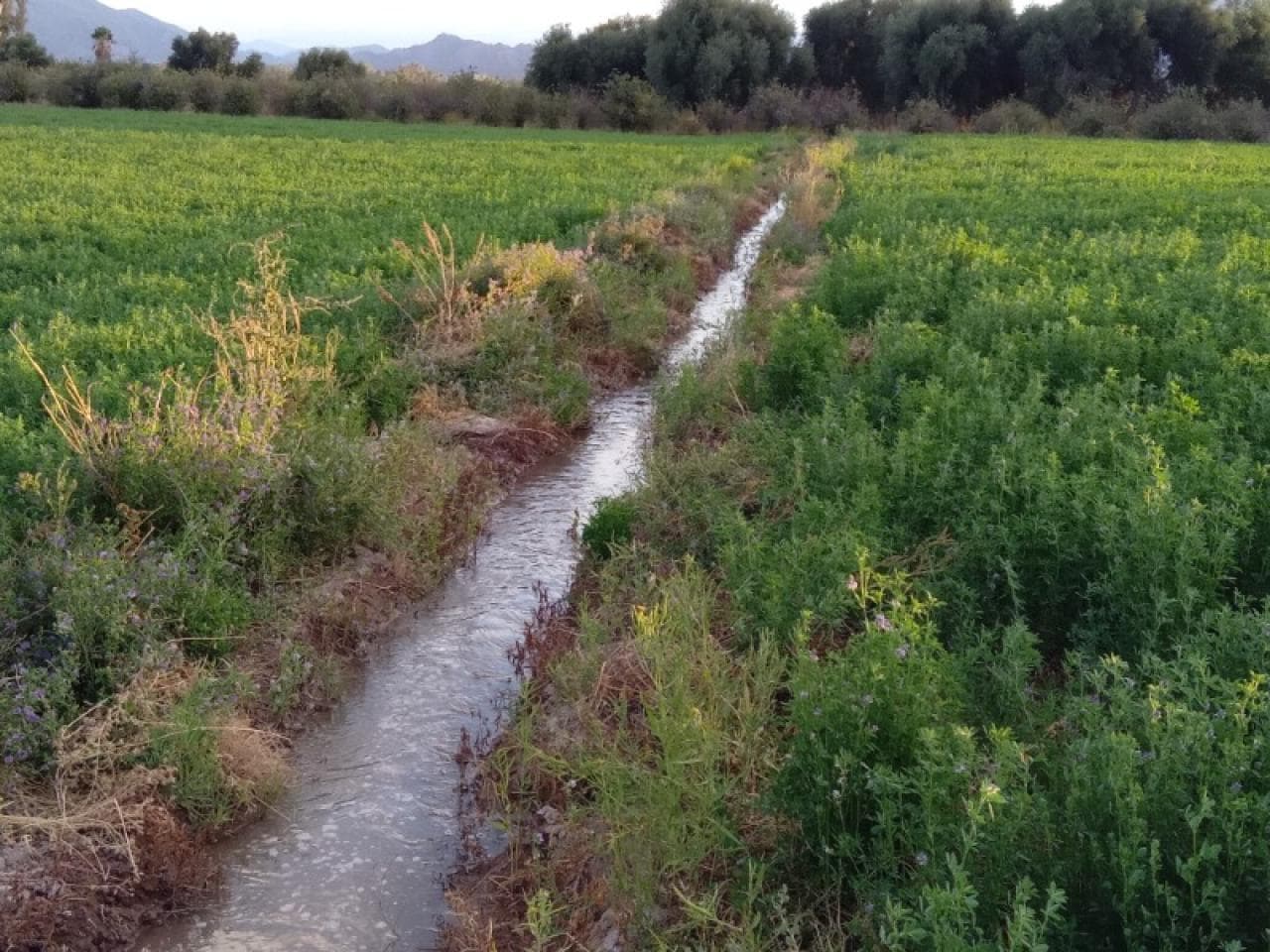 Vendo - Permuto. Finca Jachal