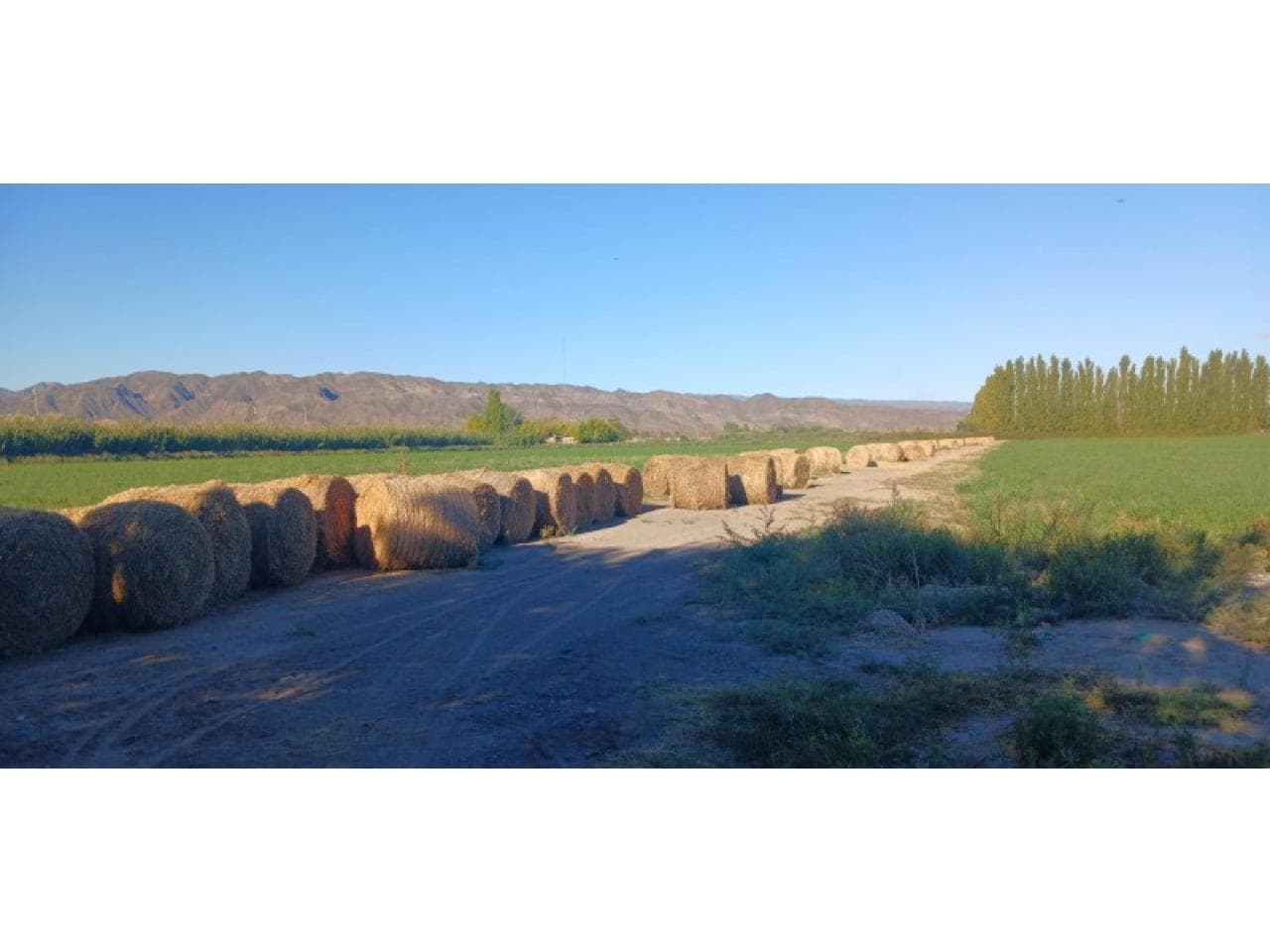 Venta Finca. Caucete