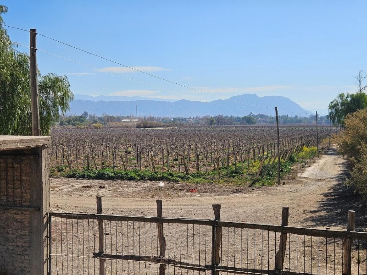Finca Con Inmejorable Vista Y Explotación (pasas/uva/olivos)