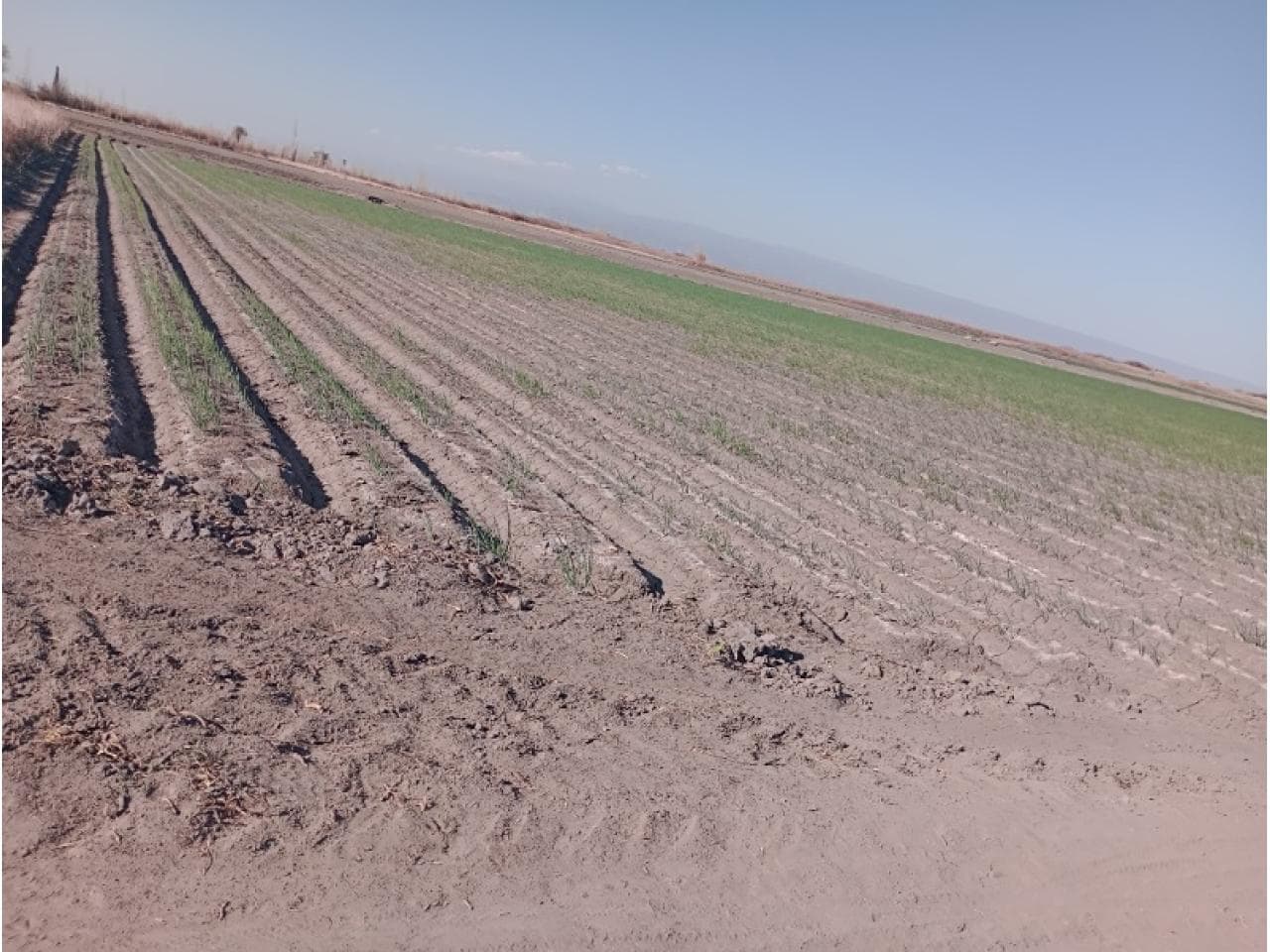 Venta Finca. Rawson