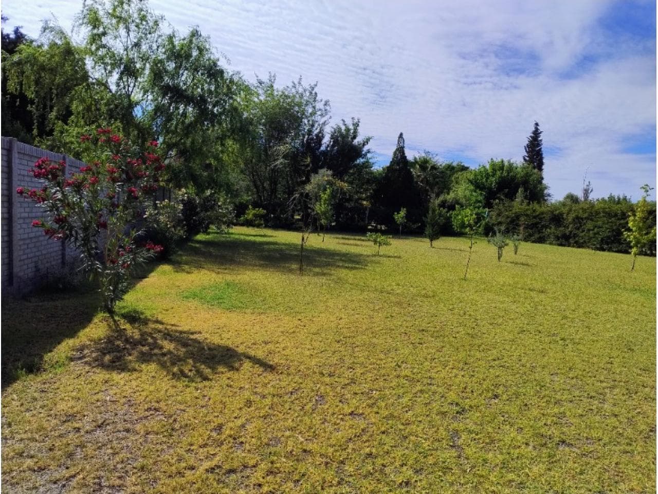 Venta Quinta Excelente Ubicacion En Santa Lucia