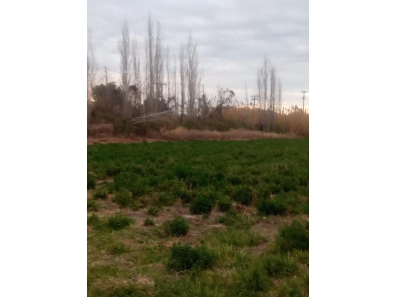 Espectacular Finca De 7,5 Ha , Con Pozo Y Derecho De Riego - Depto. Caucete Limite Con San Martin.-