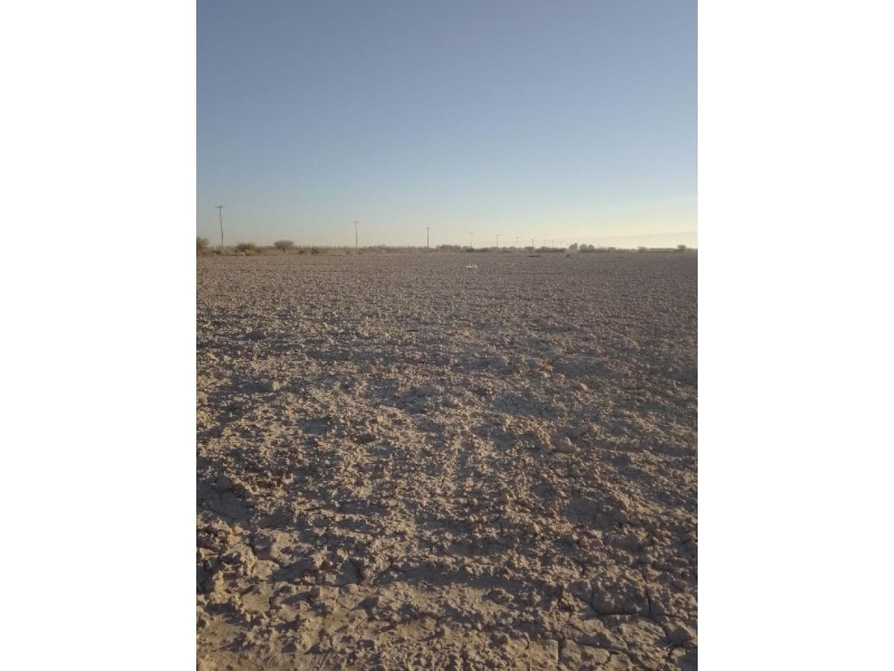 Venta. Finca De 146 Ha Sobre La Ruta N20 En 25 De Mayo - Con 2 Pozos Y Equipo De Riego - Polo Pistachero .-