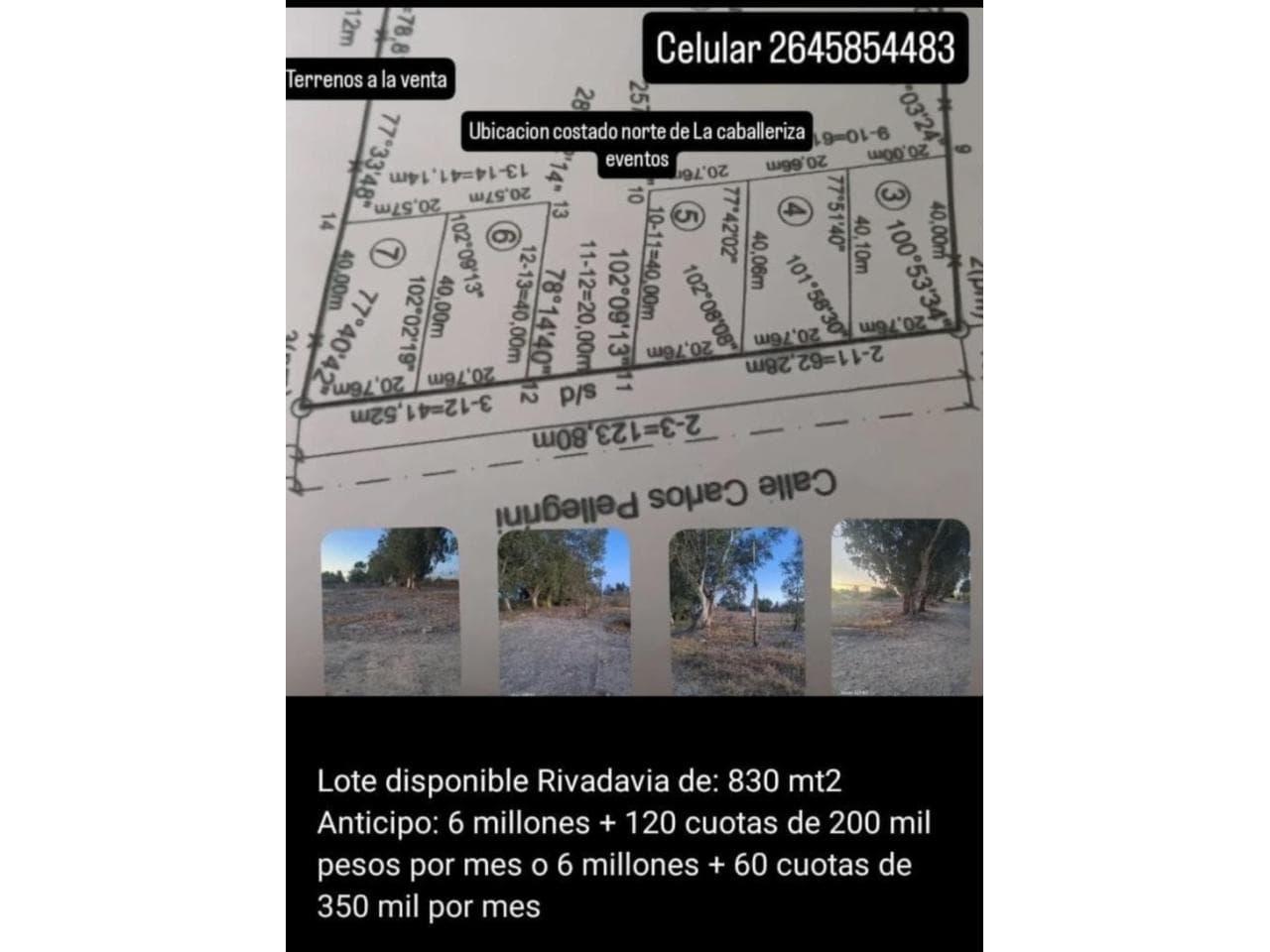 Venta. 5 Terrenos Sobre Calle Pellegrini Antes De Calle Pacheco. Rivadavia
