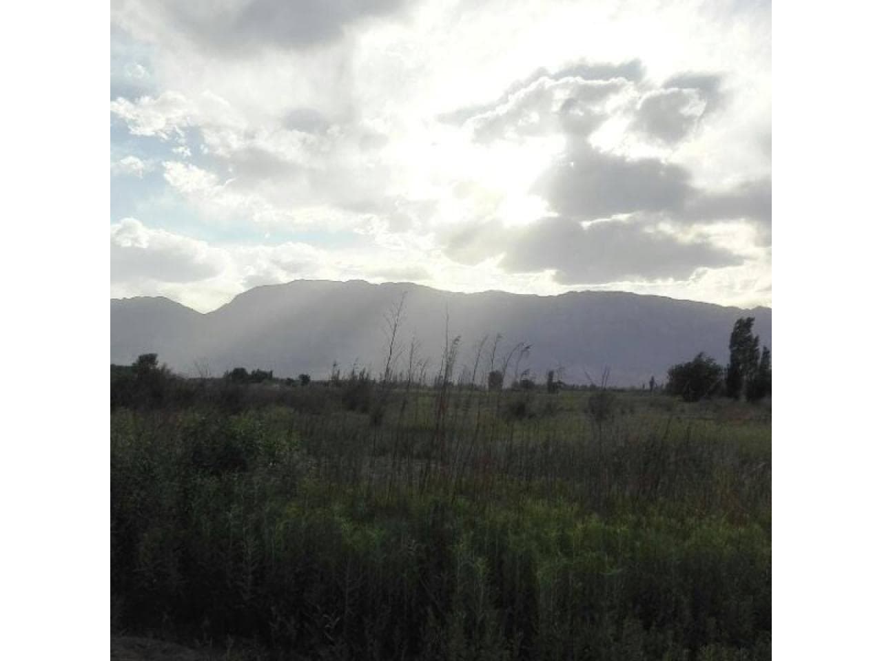 Venta Lote 1780m2. Pocito