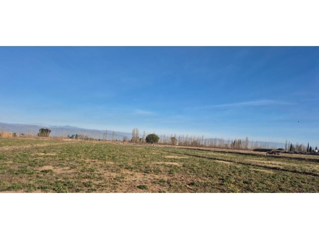 Venta De Finca De 16 Hectareas - Calle Correa - Rawson