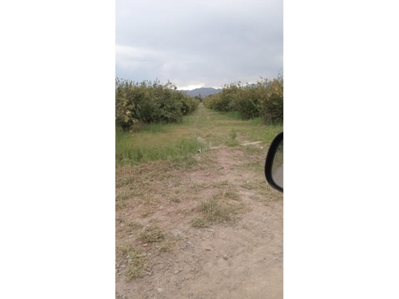 Vendo Importante Finca De 28 Hectareas Centro De Jachal-ideal Emprendimiento Inmobiliario