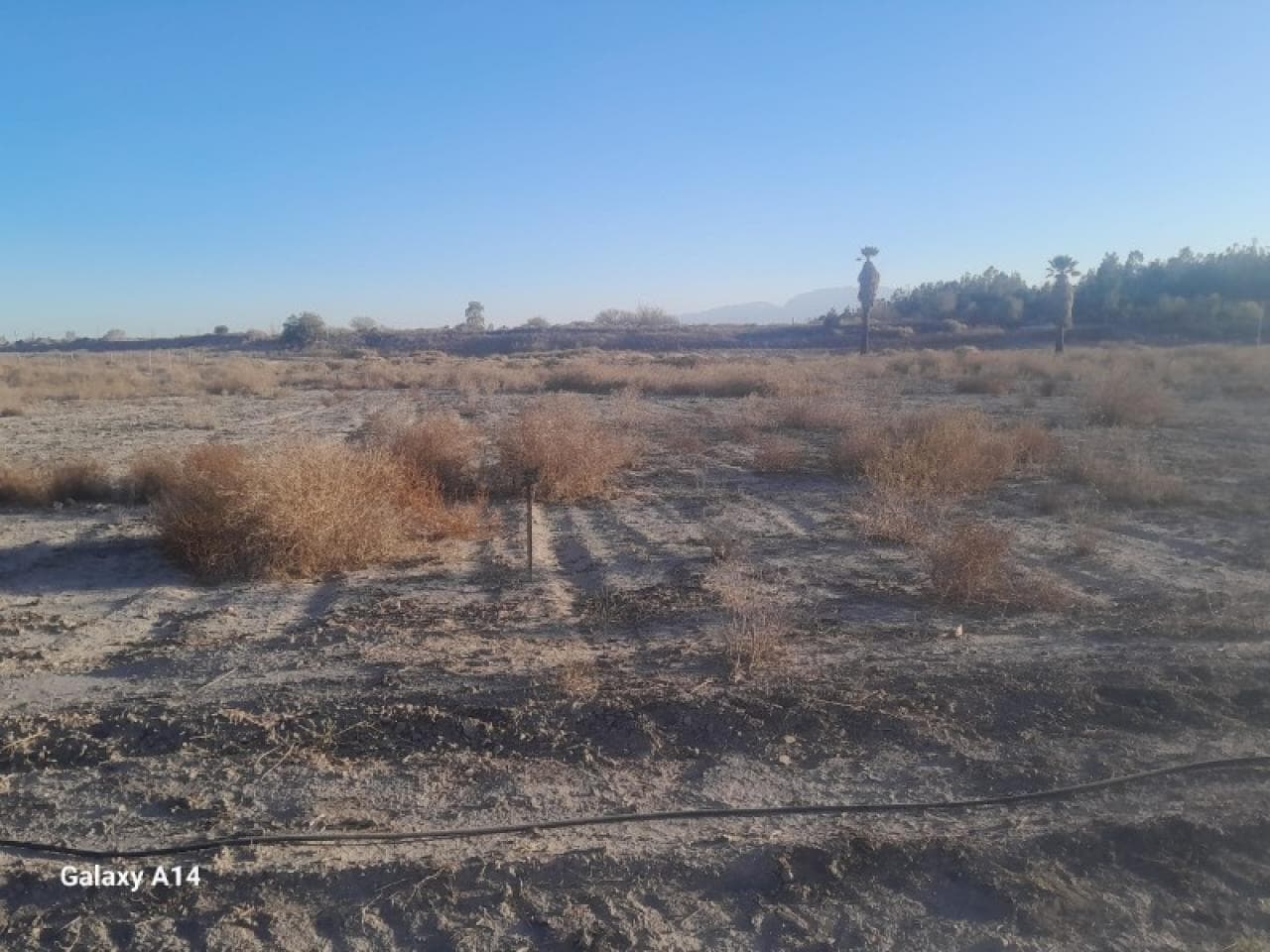 Venta Lote De 1200 Mt Cuadrados En Santa Lucia A Pocos Metros De La Avenida Libertador