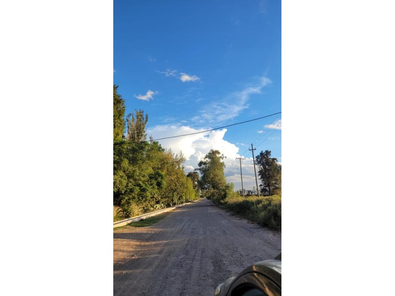 Venta. Terreno 31.880 M2.  9 De Julio