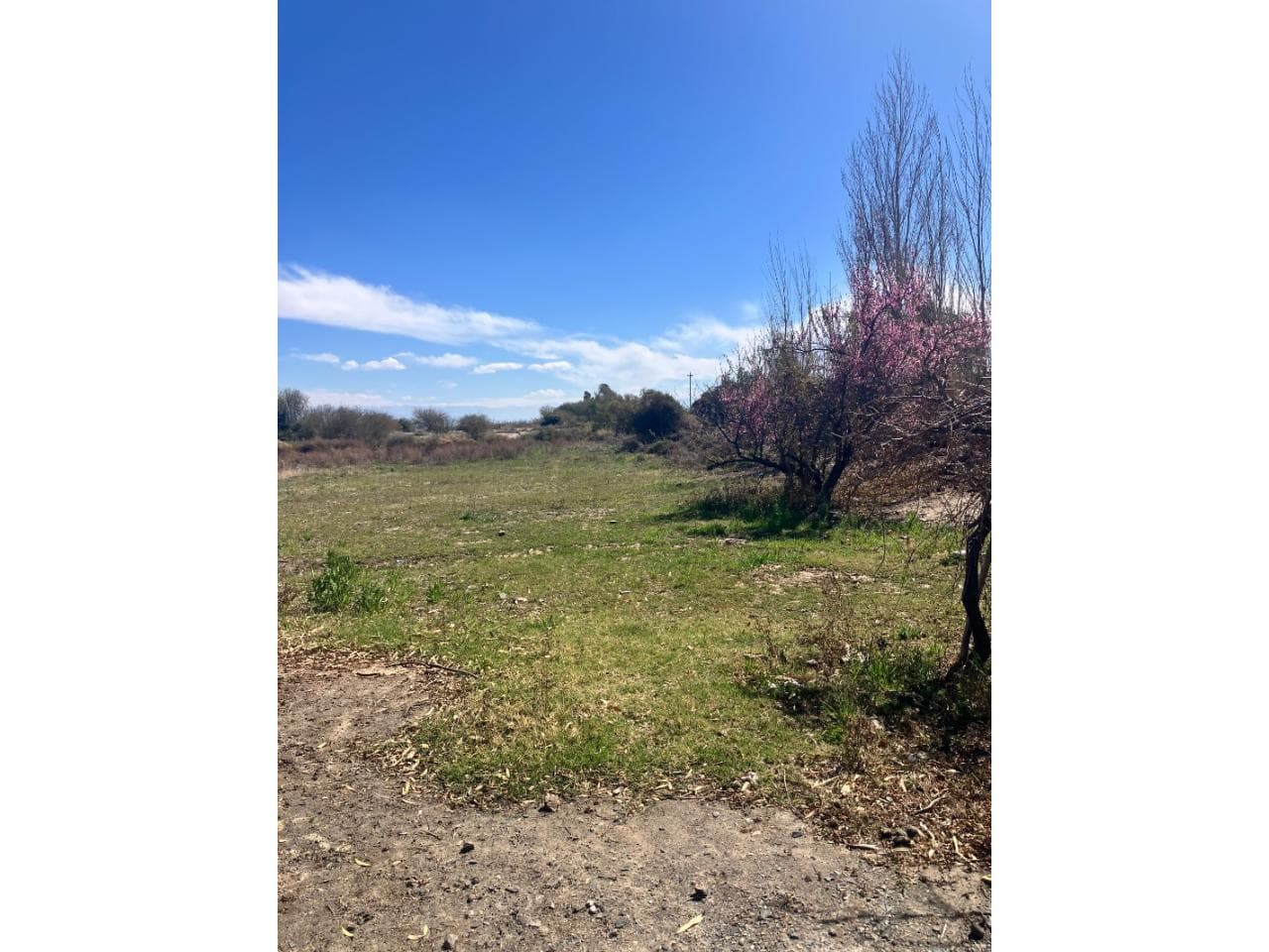 Venta De Lotes. Inmejorable Vista Hacia El Cerro Pie De Palo. Caucete