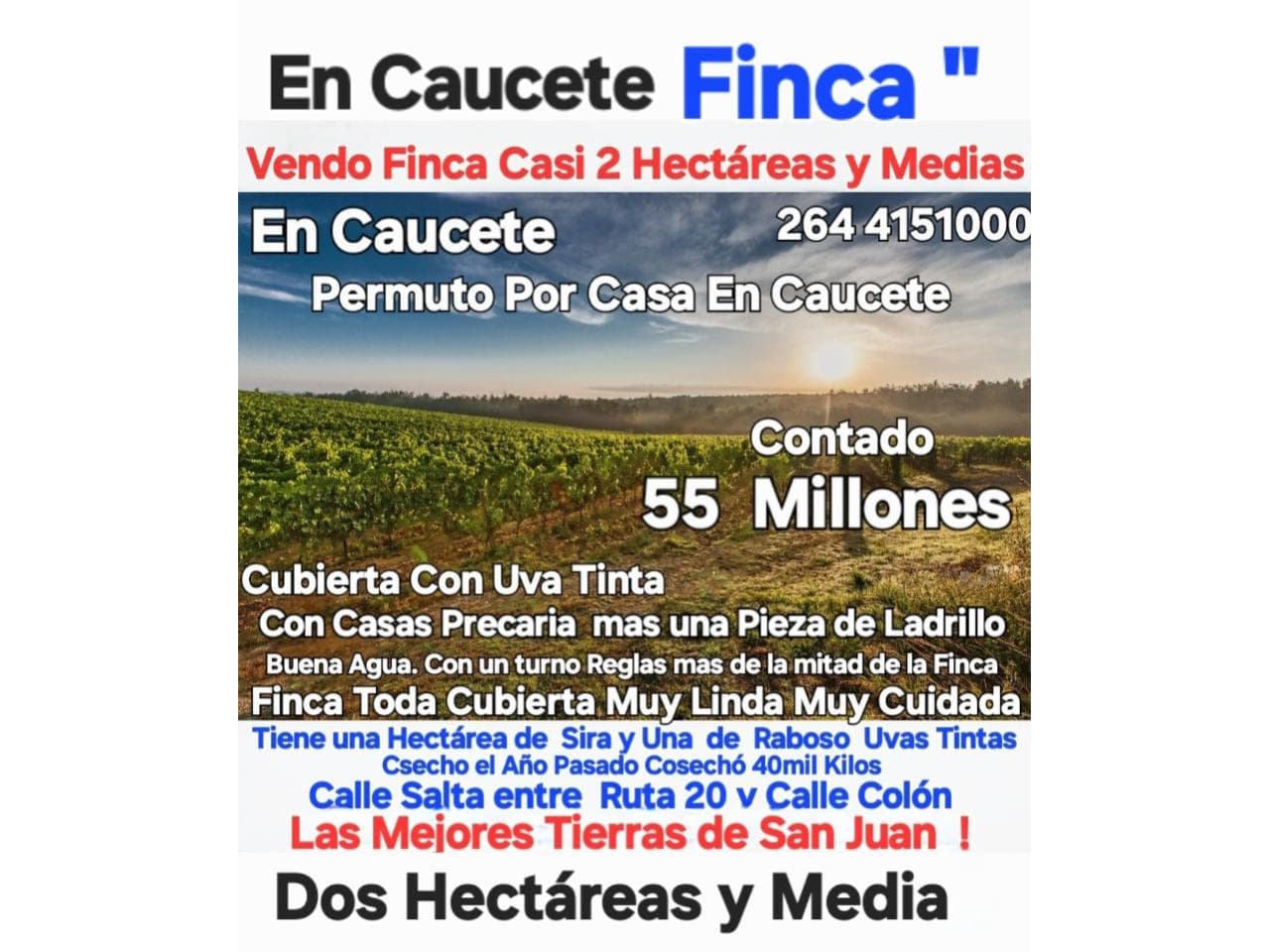 Finca En Caucete 2 Hectáreas Y Media