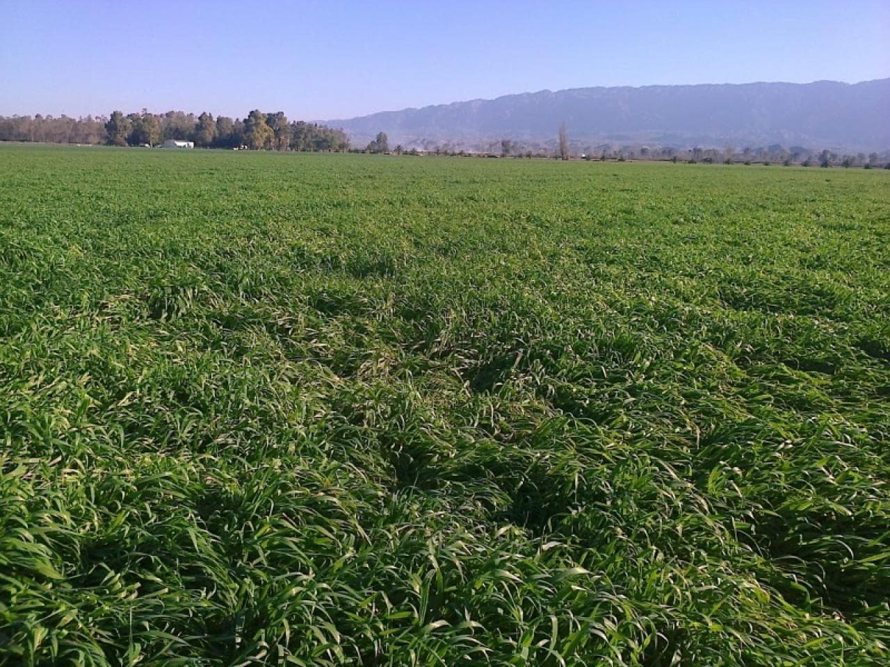 Vendo Finca. Pocito