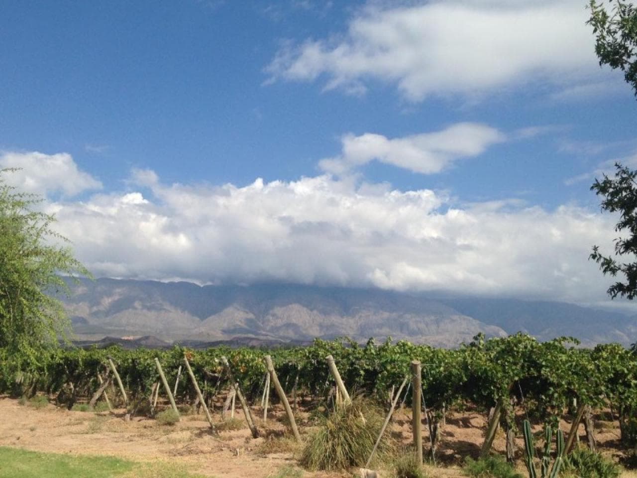 Oportunidad - Finca De 5 Ha Con Casa Antisismica , Pileta Y Galpon - Riego De Turno - Carpinteria.-