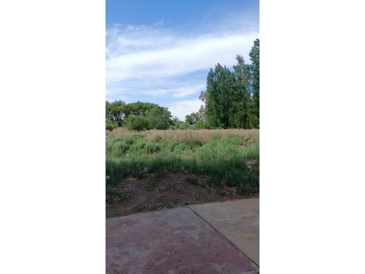 Venta. Lotes Urbanizados. Albardon