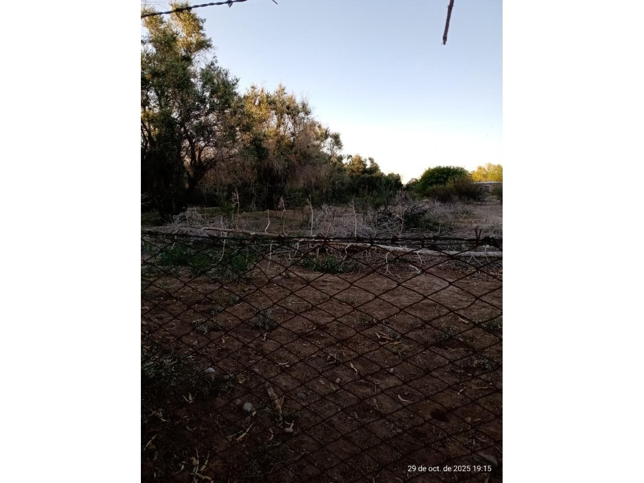 Oportunidad. Remato Lote. Superficie  4.000 Mtrs La Bebida. Rivadavia. A Dos Cuadras De Ig. De La Roza