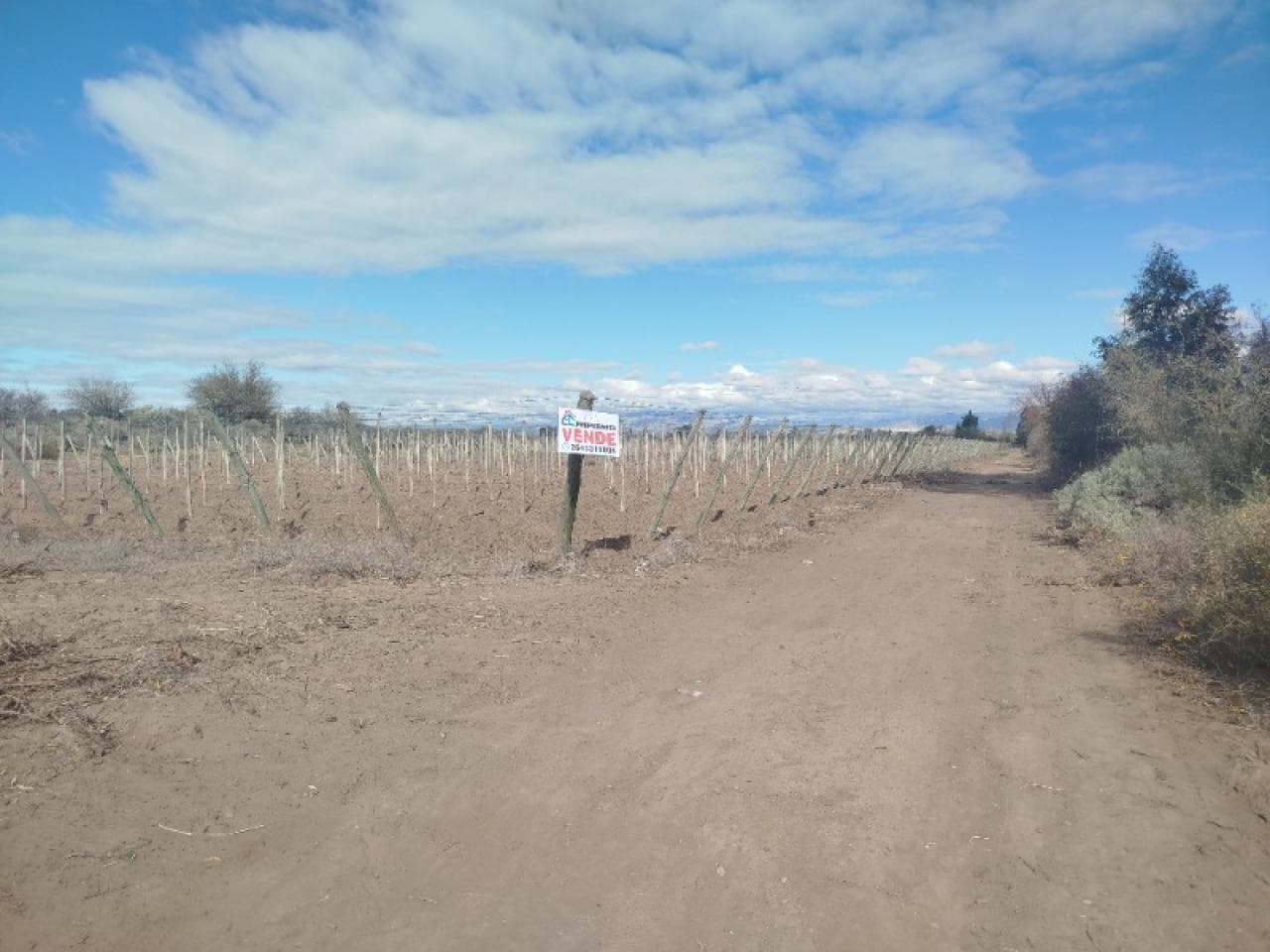 Finca,  Se Vende,  Colonia Fiscal