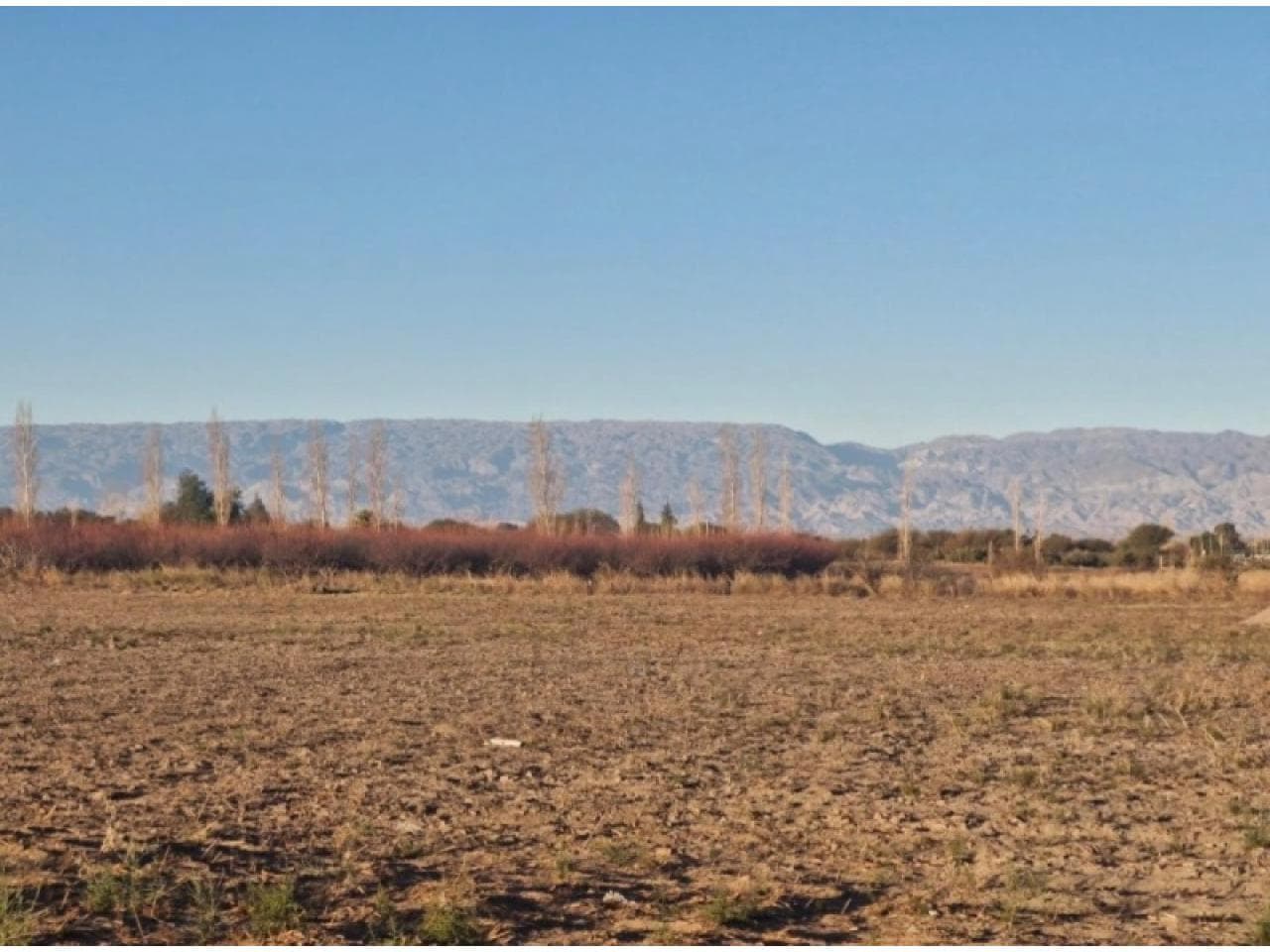 Vende Terreno En Albardon