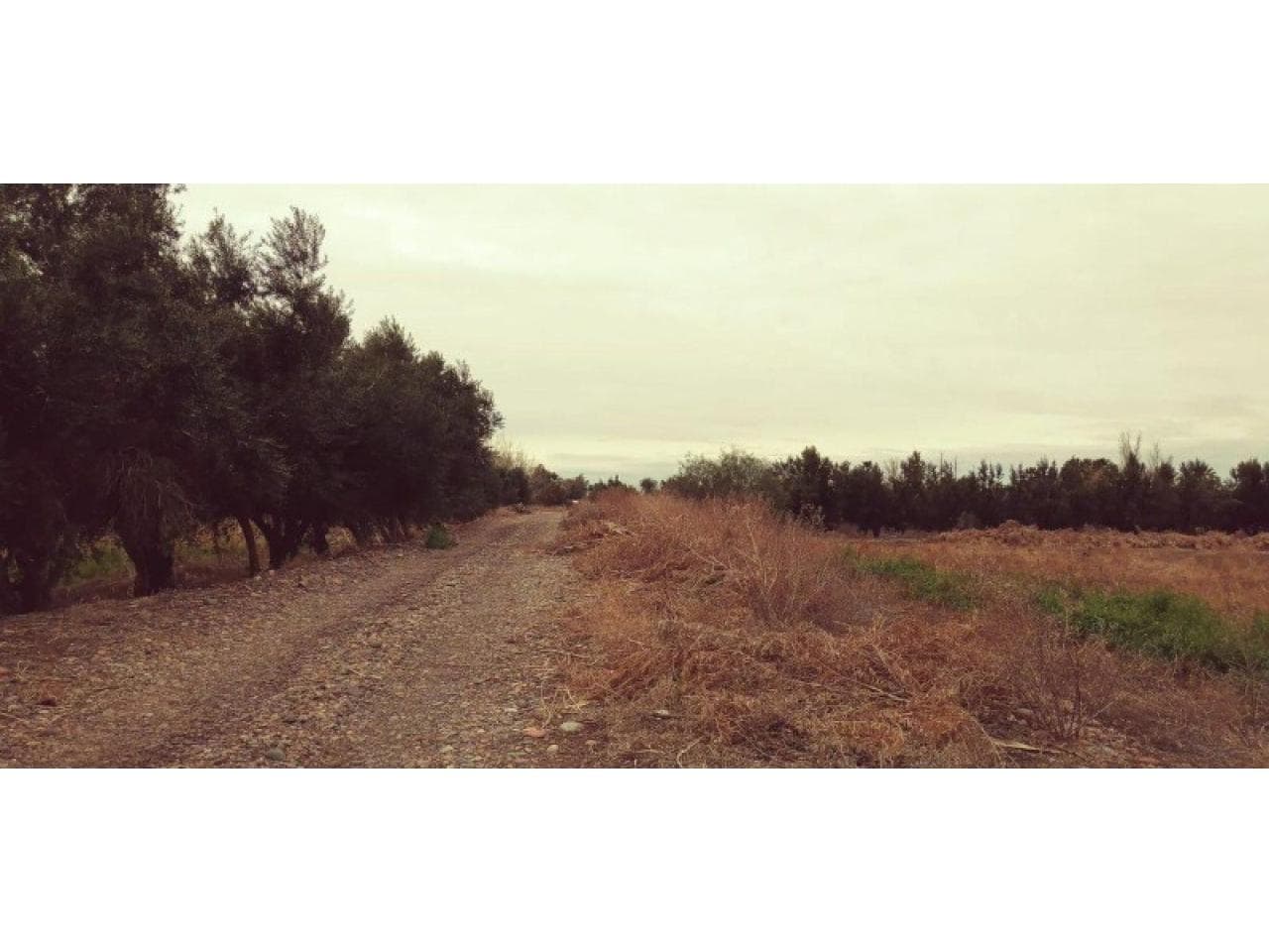 Venta. Terreno En El Medano