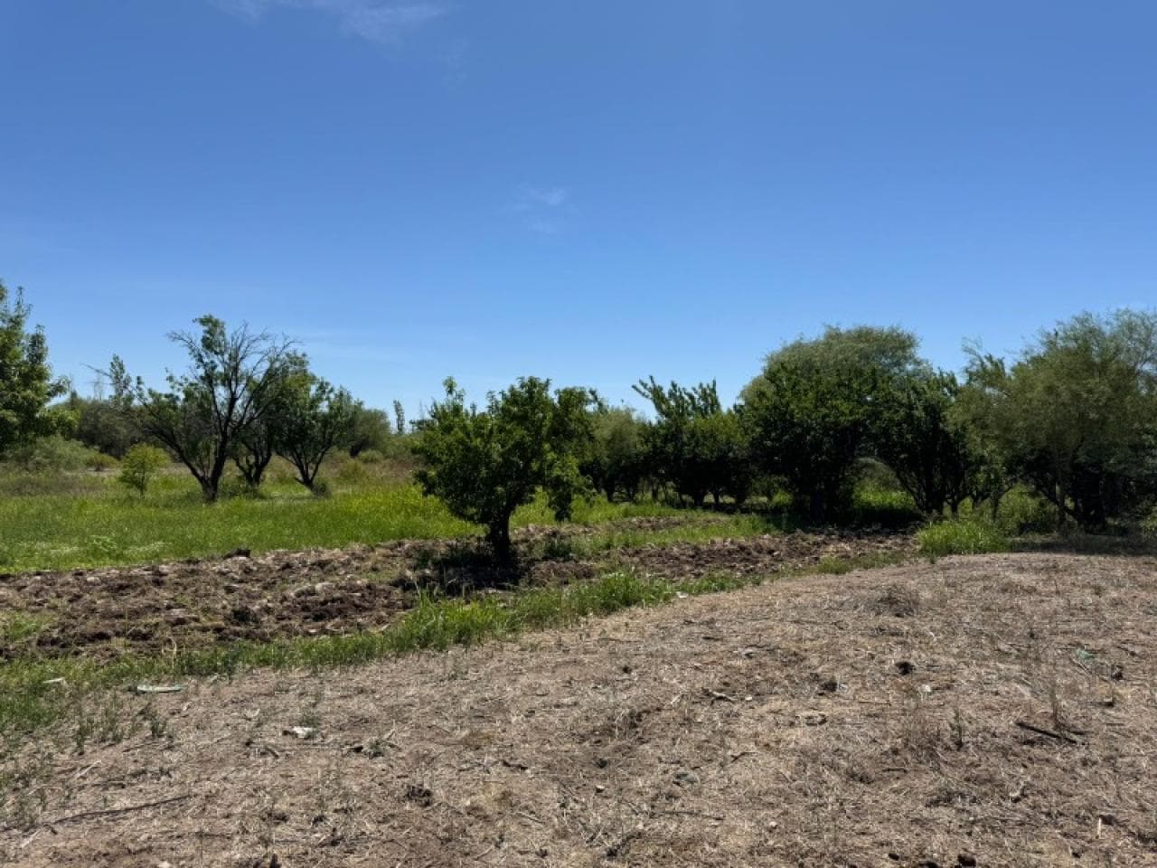 🔵 Venta 4 Terrenos De 1.500 M² C/u - En Exclusiva Zona De Las Lomitas - Albardon - Ref 3362🔵