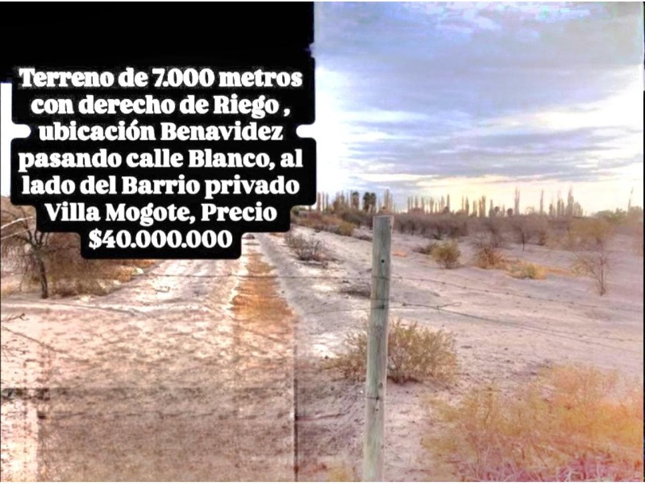 Venta Terreno De 7000 M2 Chimbas.