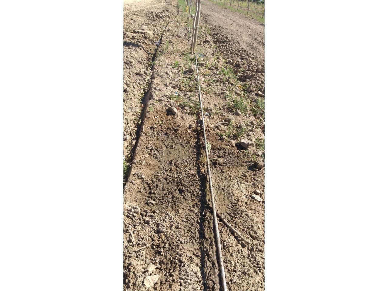 Vende Dueño Directo 160 Hectareas