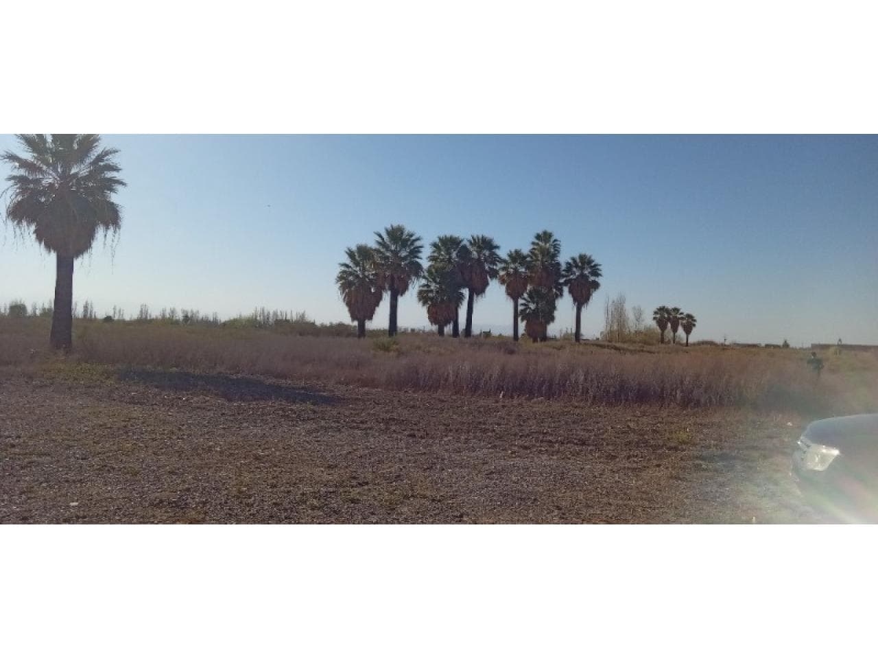 Vendo Lote En Medano De Oro