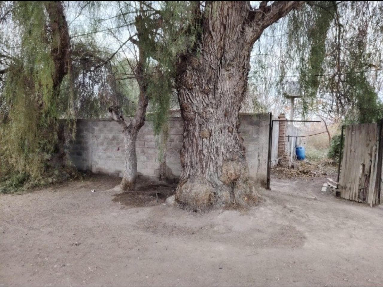 Venta Terreno De 750m2 En Barrio Quintian En Medanito. Calle Florida Y Rivas. Agua Y Luz  22 Mil Dólares. Rawson