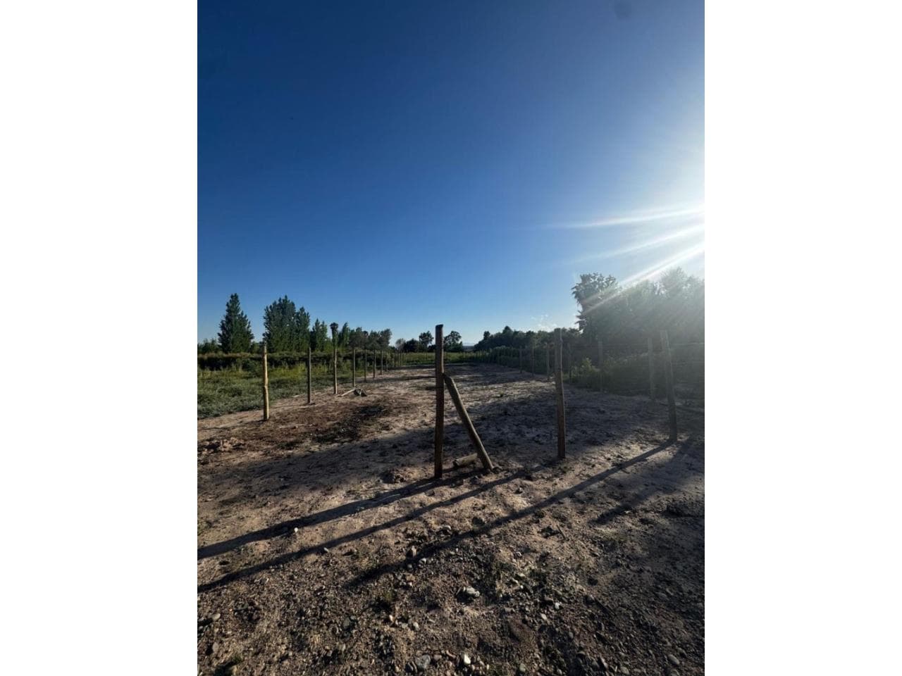 Vendo Lote En Albardón ‼️