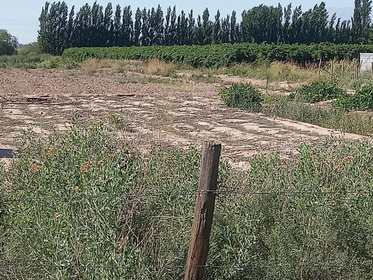 Venta - Terreno - 1000m2. En Albardón