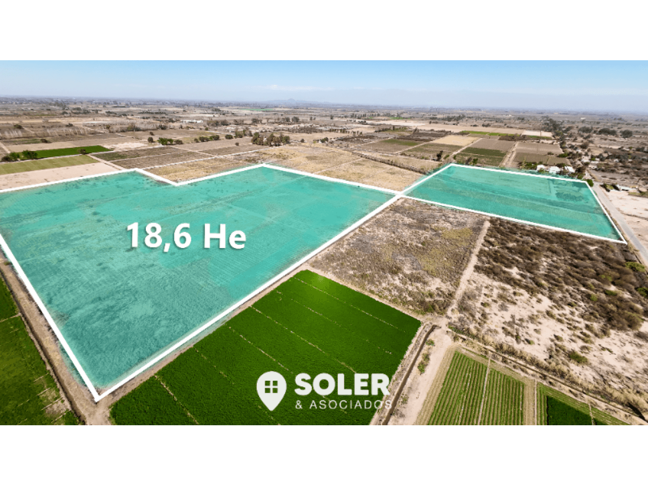 Venta Finca | Caucete | 18.6 Has.