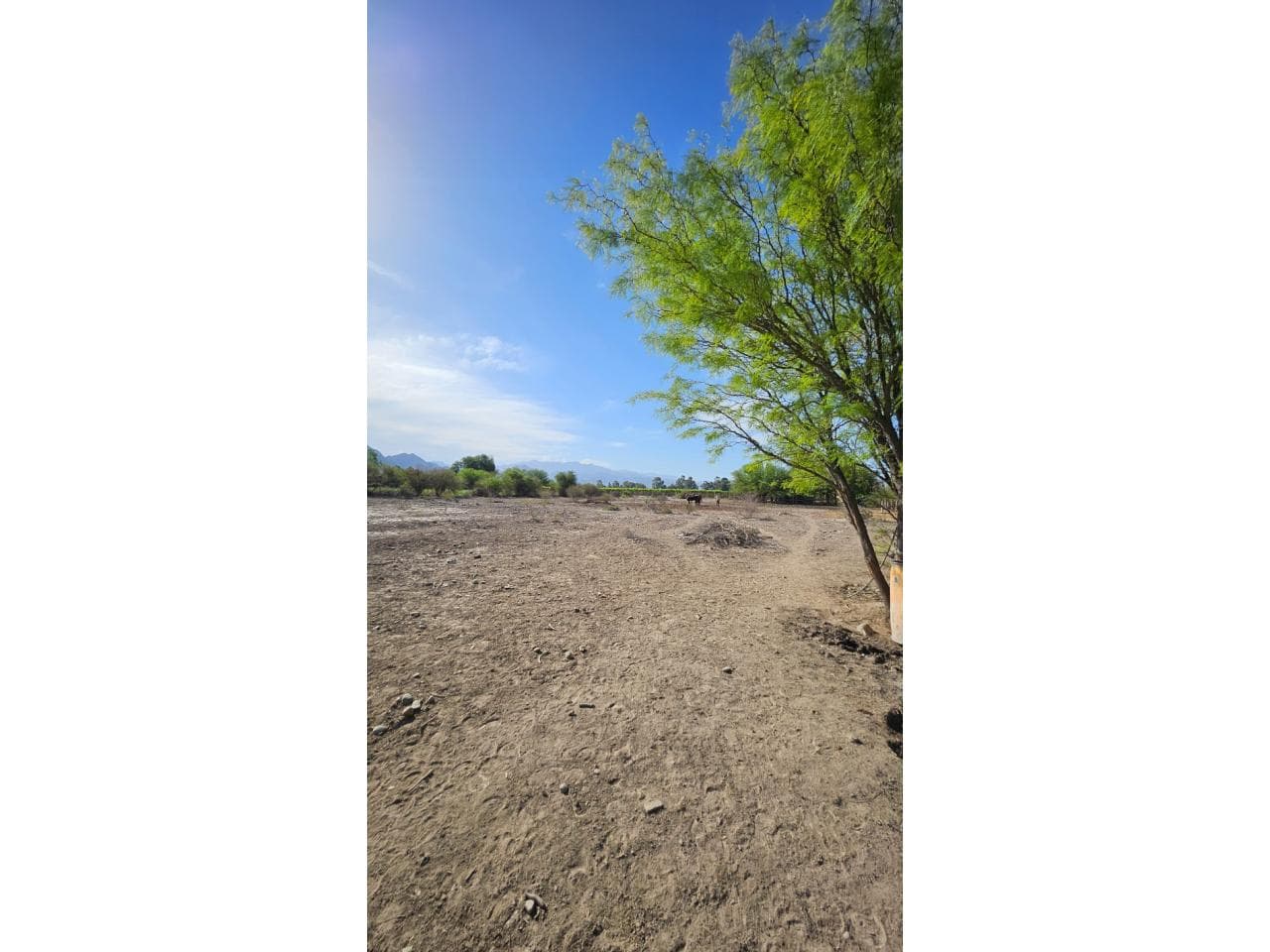 Venta Hermosa Finca - Terreno En  Zonda