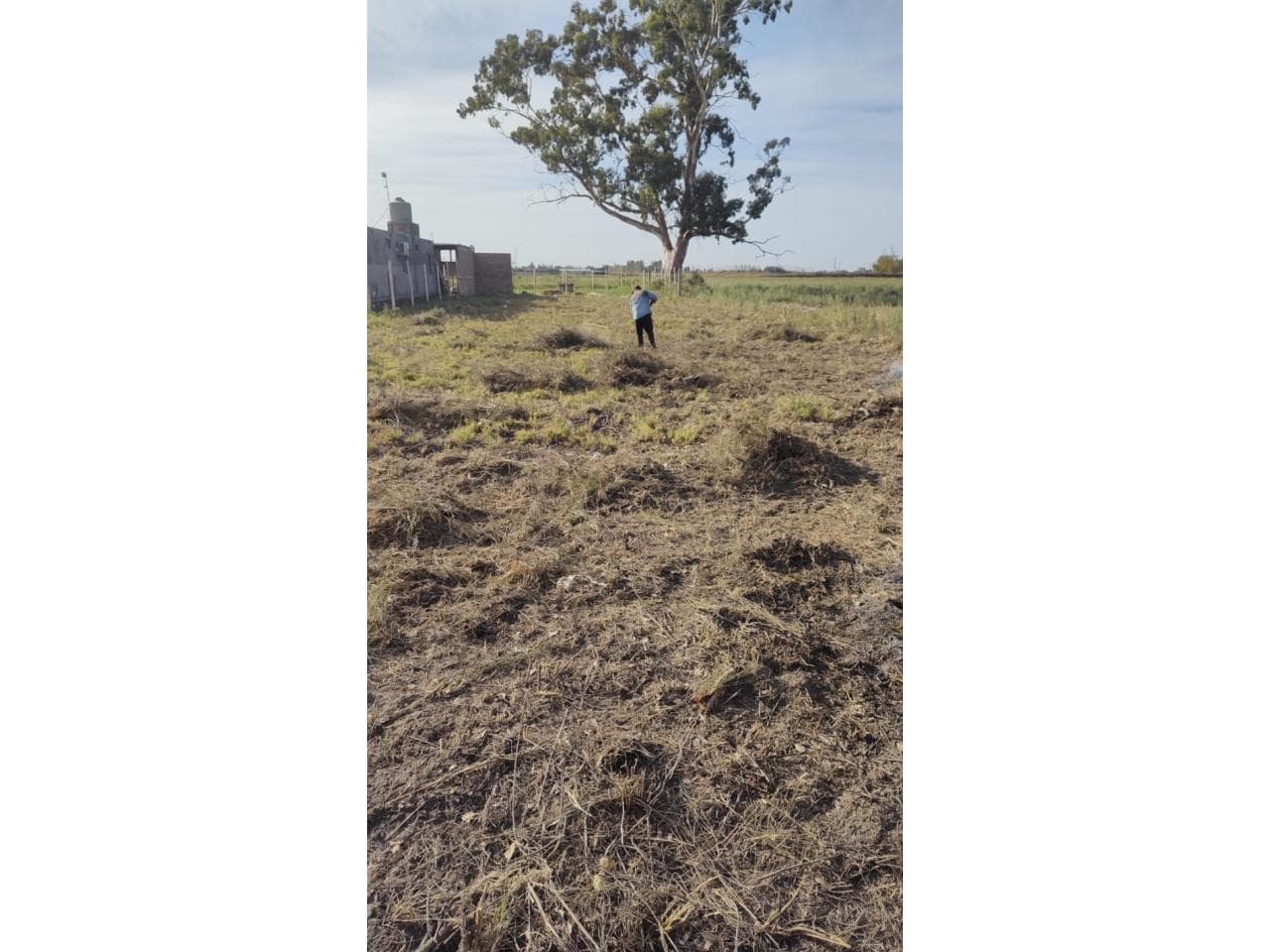 Lote En El Médano De Oro