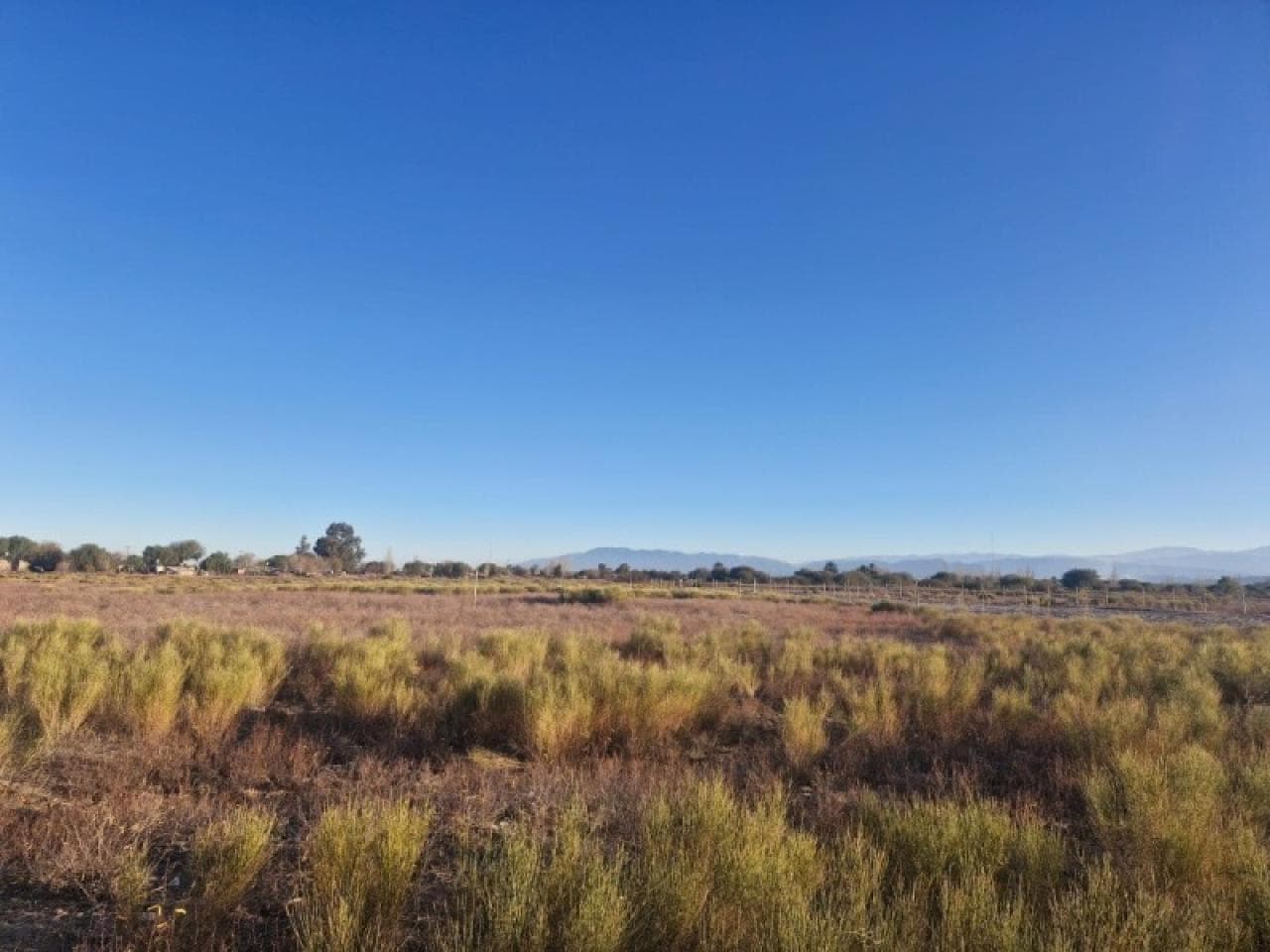 Venta. Lote En Las Lomitas 2.367 Metros Cuadrados. Albardon