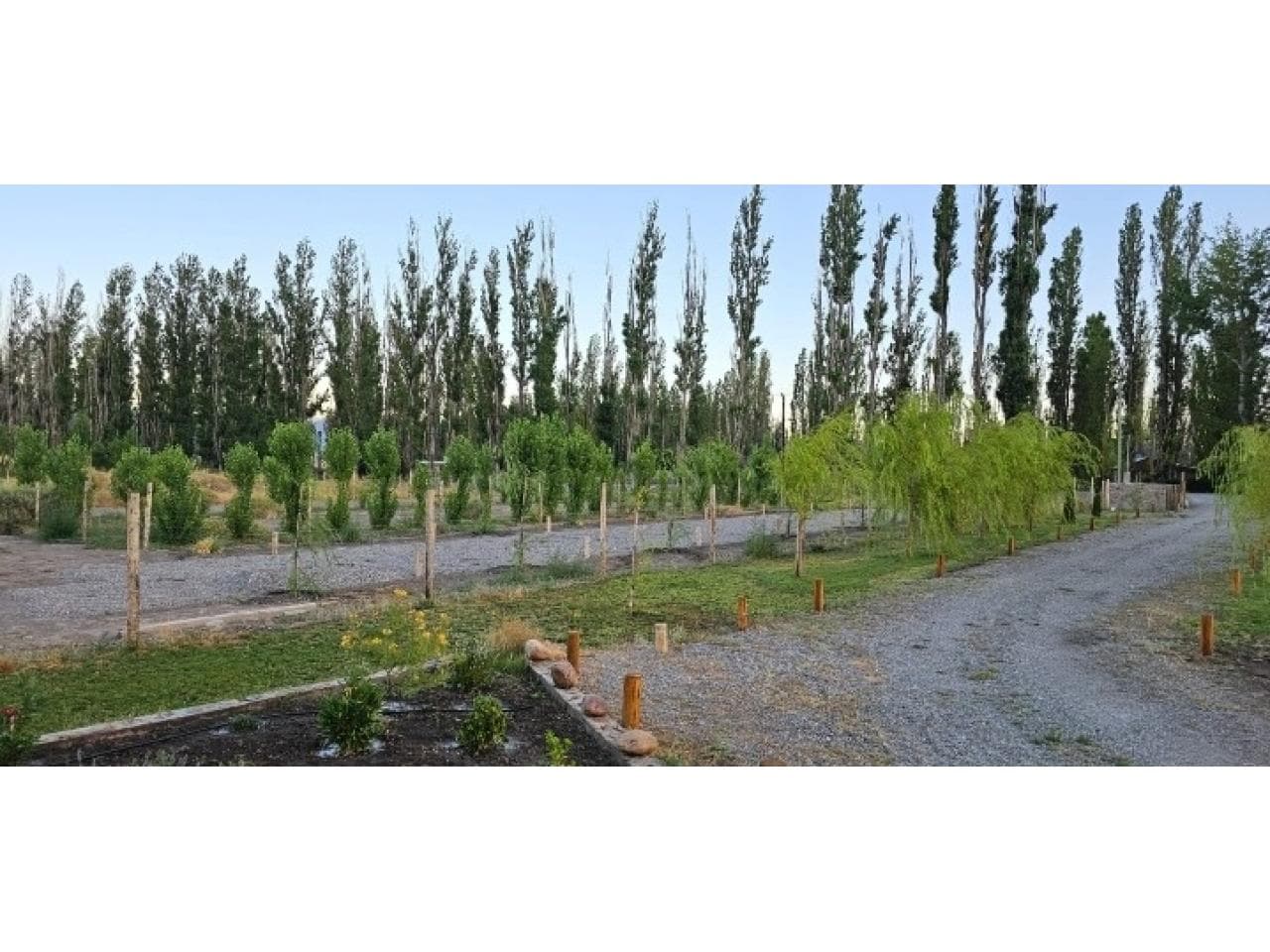 Las Flores. Lote Frentista De 700 M2, Sobre Ruta Nacional 150. Con Cierre Perimetral. Plataforma De 70 M2. Puente 4,5 M.