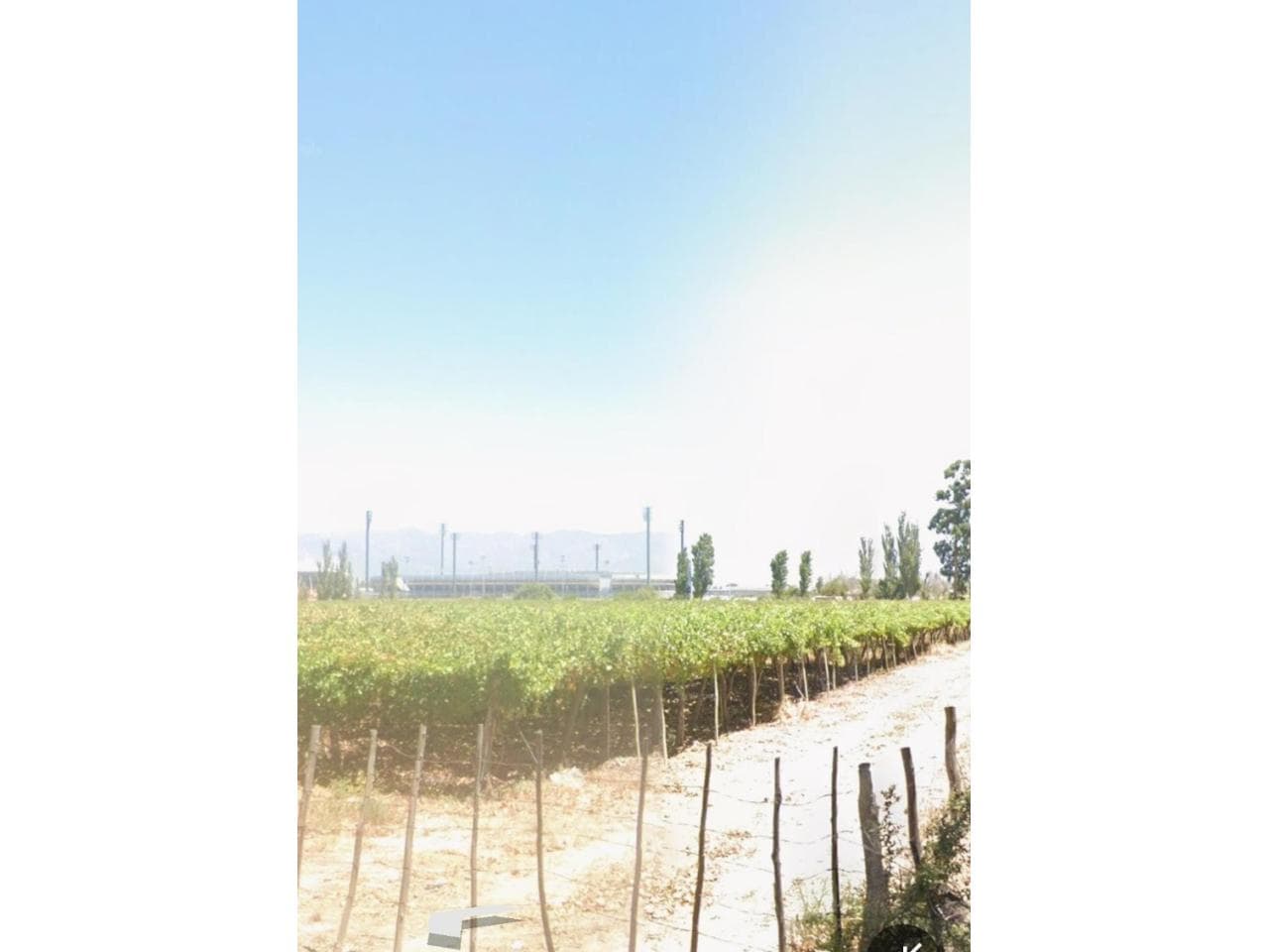Venta. Finca De 4 Hectáreas.  Lista Para Escriturar. Pocito